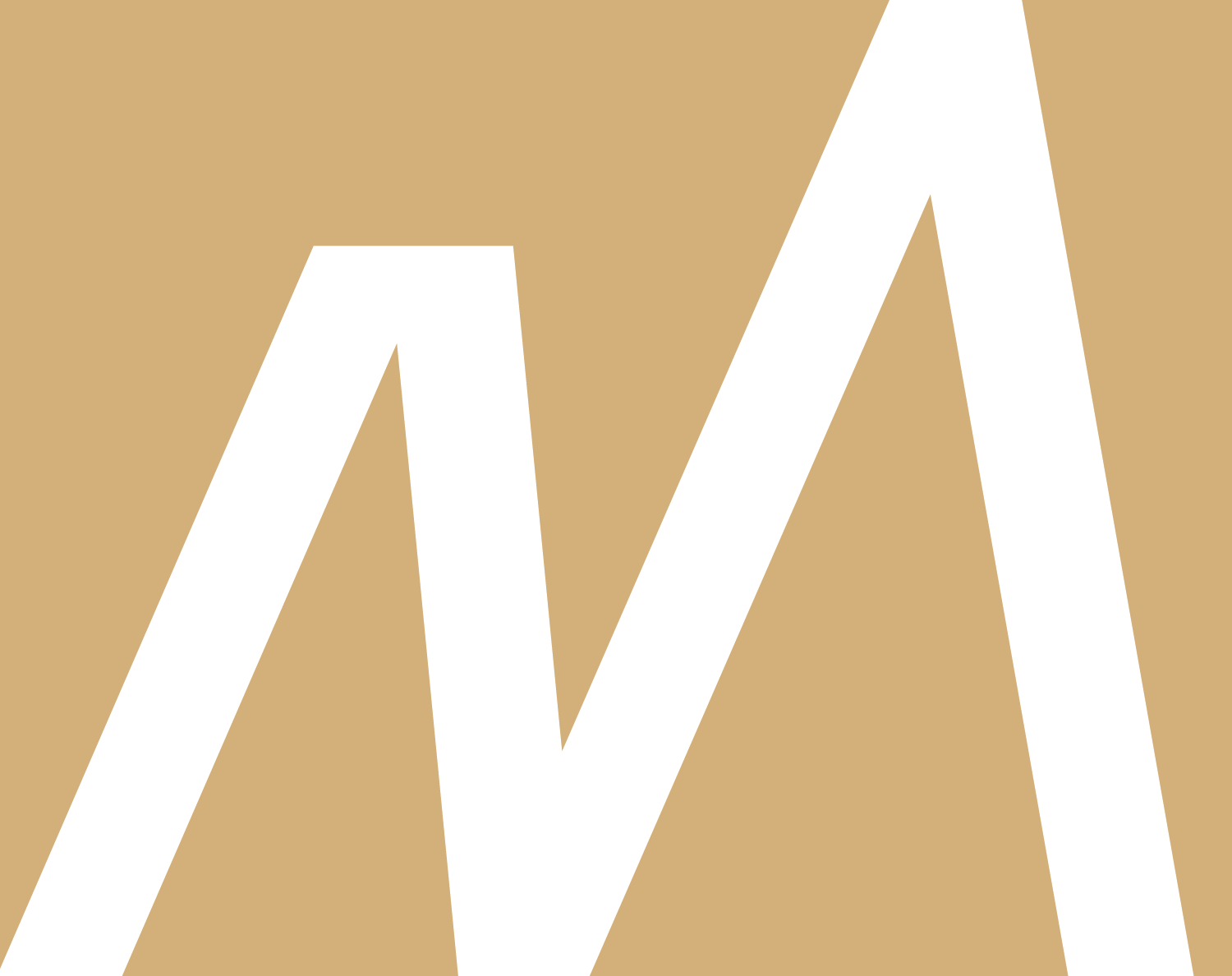 Logo Merakiland